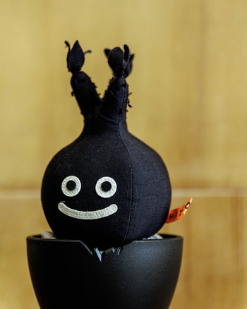 HAKKEI Black Pachypodium Gracilius Doji