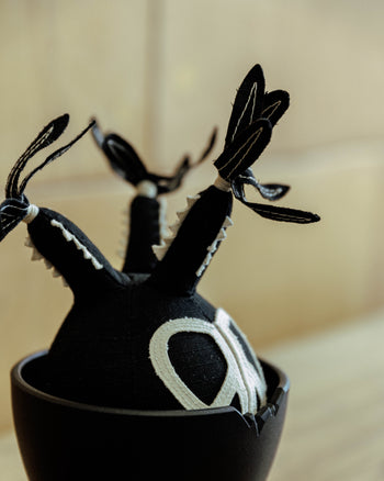 HAKKEI - Peace Pachypodium Gracilius