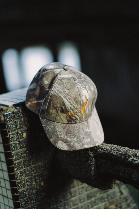 Anything JB - Real Tree Logo Cap