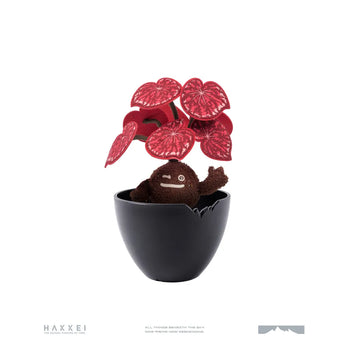 HAKKEI - Candy Stripe Begonia Doji