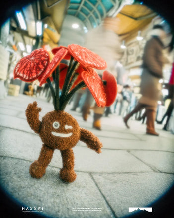 HAKKEI - Candy Stripe Begonia Doji