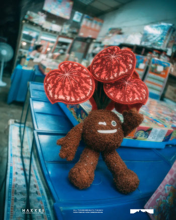 HAKKEI - Candy Stripe Begonia Doji