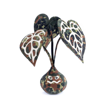 HAKKEI -  Anthurium Crystalinum Baji