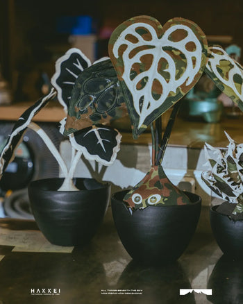 HAKKEI -  Anthurium Crystalinum Baji