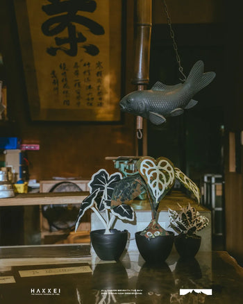 HAKKEI -  Anthurium Crystalinum Baji