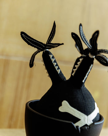 HAKKEI Bones Pachypodium Gracilius