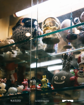 HAKKEI -  Raindrop Pachypodium Gracillius Doji