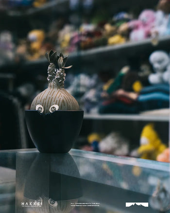 HAKKEI -  Raindrop Pachypodium Gracillius Doji