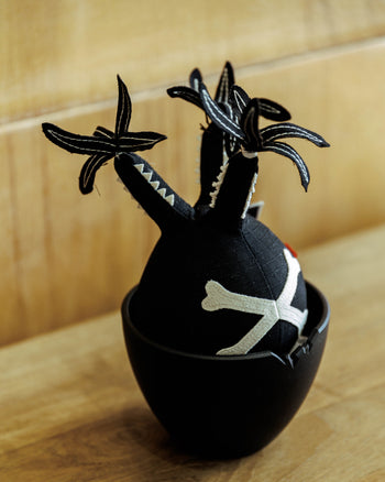 HAKKEI Bones Pachypodium Gracilius