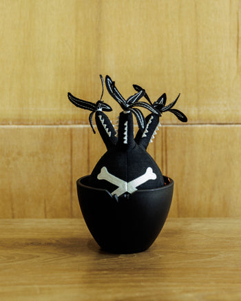 HAKKEI Bones Pachypodium Gracilius