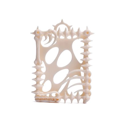 HAKKEI - Dinosaur Skeleton Card Sleeves