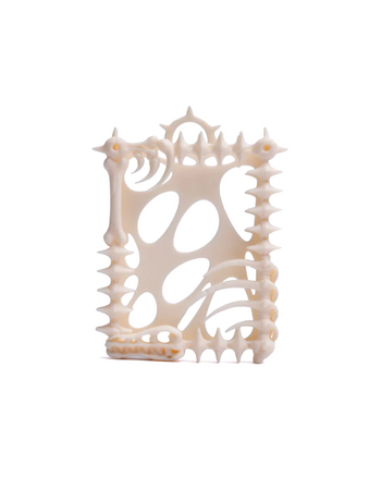 HAKKEI - Dinosaur Skeleton Card Sleeves