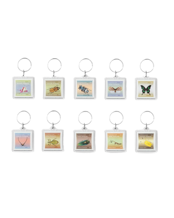 FTMD. Collective Stamo Keychain