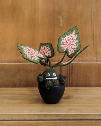 HAKKEI -  Caladium Doji