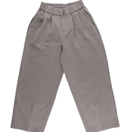 Aegis - Pleated Pants - Grey