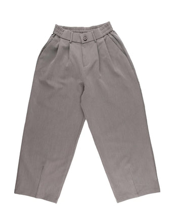 Aegis - Pleated Pants - Grey