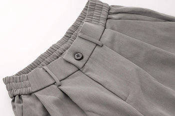 Aegis - Pleated Pants - Grey