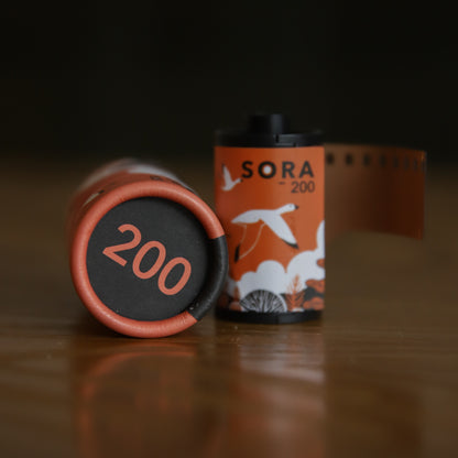 FND Sora 200